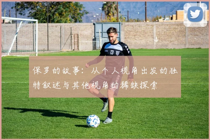 保罗的故事：从个人视角出发的独特叙述与其他视角的稀缺探索