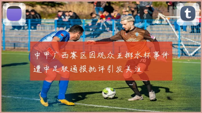 中甲广西赛区因观众互掷水杯事件遭中足联通报批评引发关注