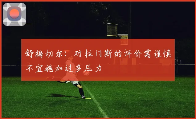舒梅切尔：对拉门斯的评价需谨慎不宜施加过多压力